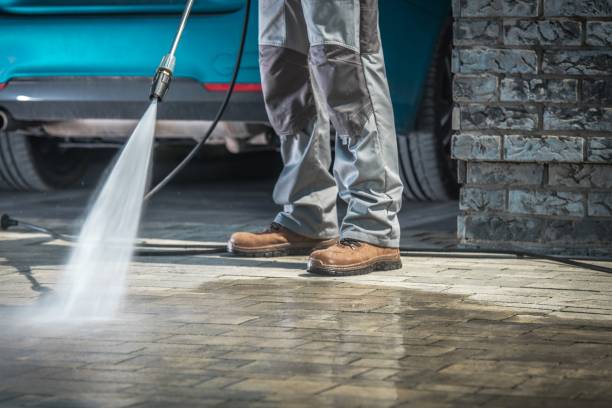 Best Soft Washing  in Newton, NJ